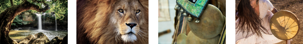 corso base sciamanesimo, viaggio sciamanico, recupero animale di potere, recupero frammenti d'anima, Caldiero, Verona