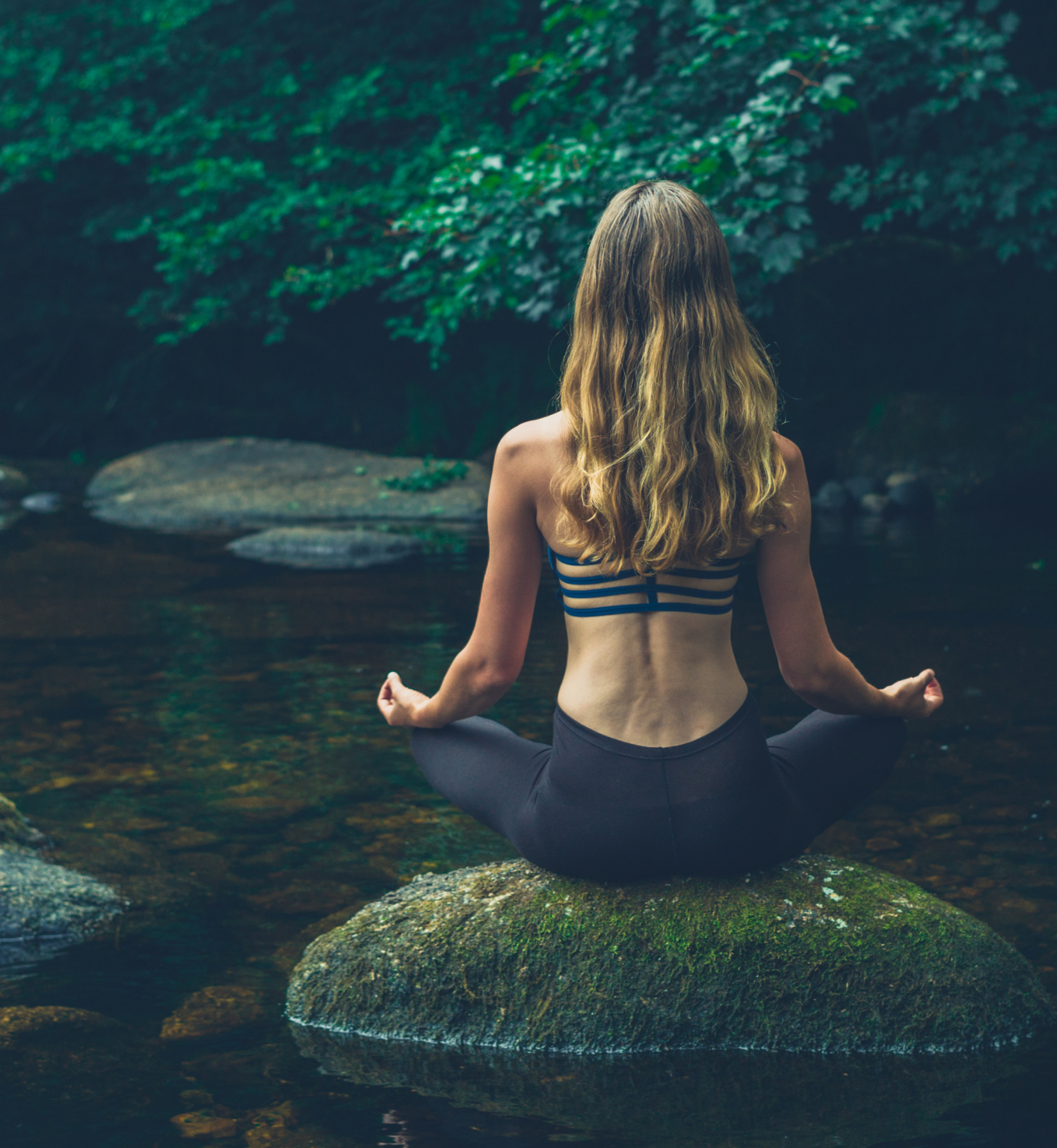 GUIDA Connessione, elevazione, radicamento e purificazione con gli oli essenziali