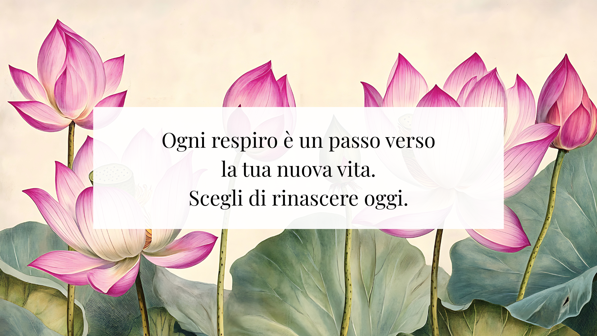 RESET 12 - percorso di trasformazione - Ogni respiro è un passo verso la tua nuova vita. Scegli di rinascere oggi.