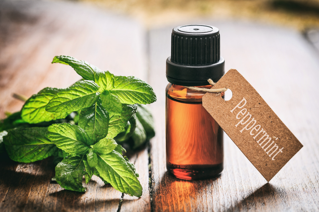 20 modi per utilizzare l'olio essenziale di menta piperita 