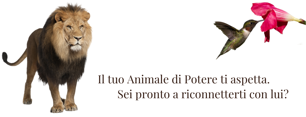 Animale di Potere. Sei pronto a riconnetterti a lui, alla sua forza, saggezza, benevolenza?