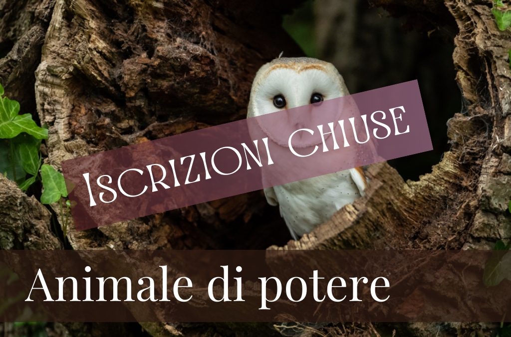 Il tuo Animale di Potere è un essere saggio, forte e amorevole che ti accompagna nel cammino della vita. È un alleato invisibile, ma sempre presente, pronto ad offrirti guida, protezione e sostegno.